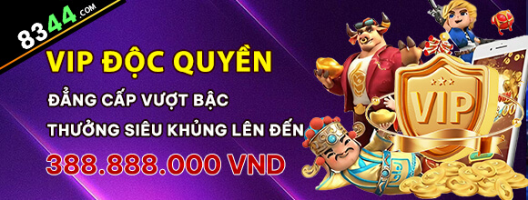 Hình ảnh quảng cáo của qh235 hiển thị nền tảng và các lợi ích